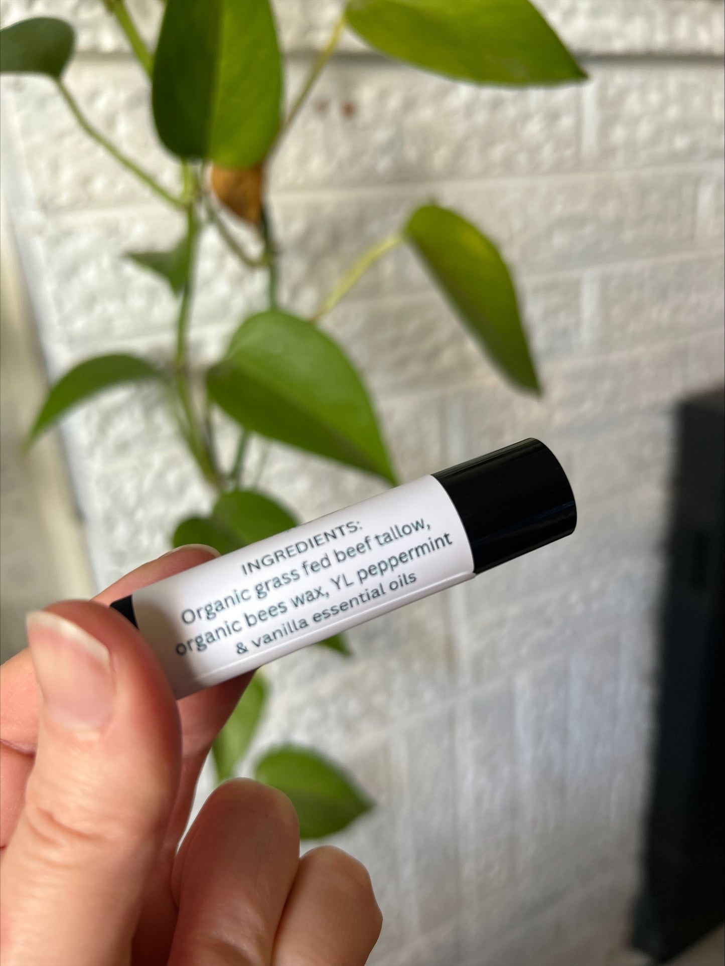 Tallow LIP BALM