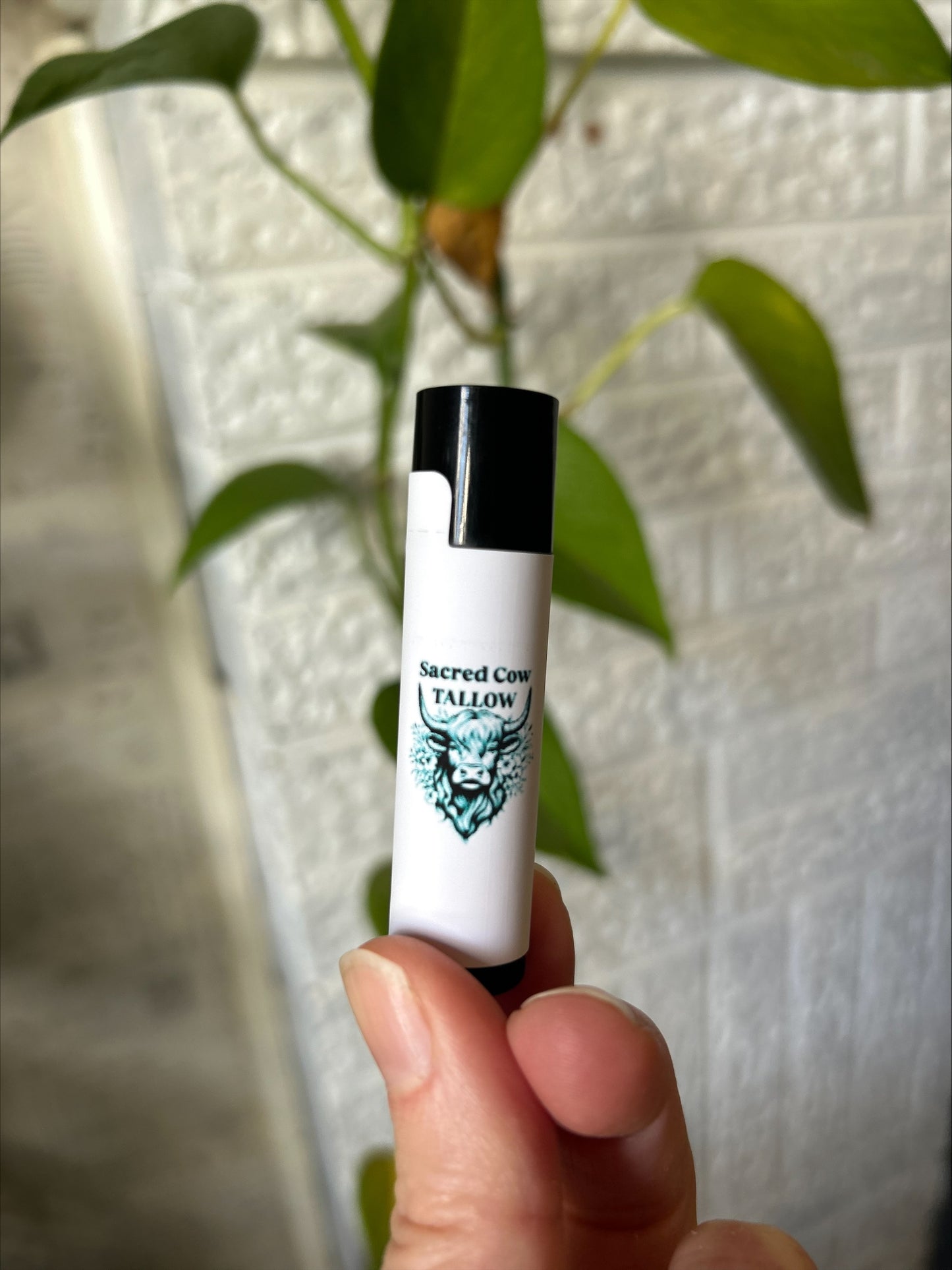Tallow LIP BALM