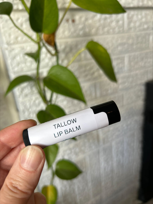 Tallow LIP BALM